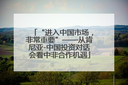“进入中国市场，非常重要”——从肯尼亚-中国投资对话会看中非合作机遇